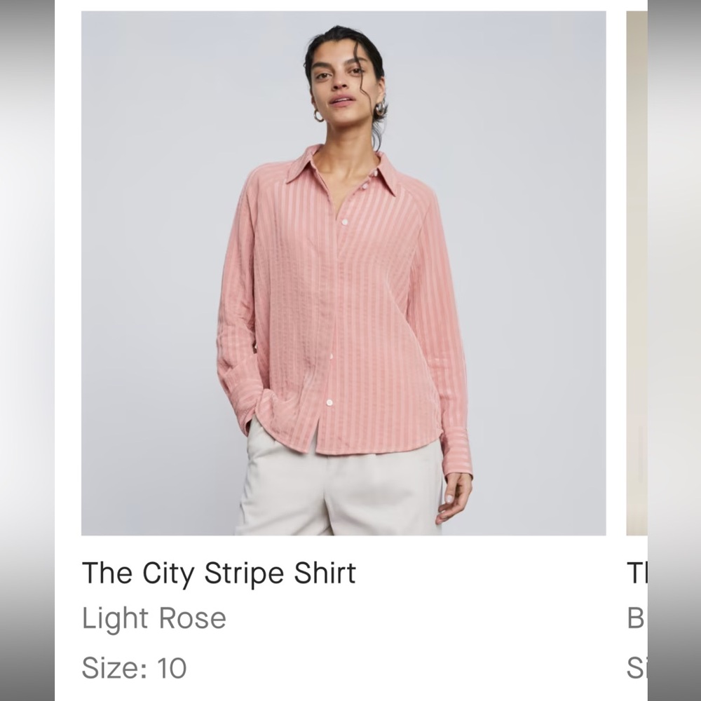 Everlane pink dress shirt